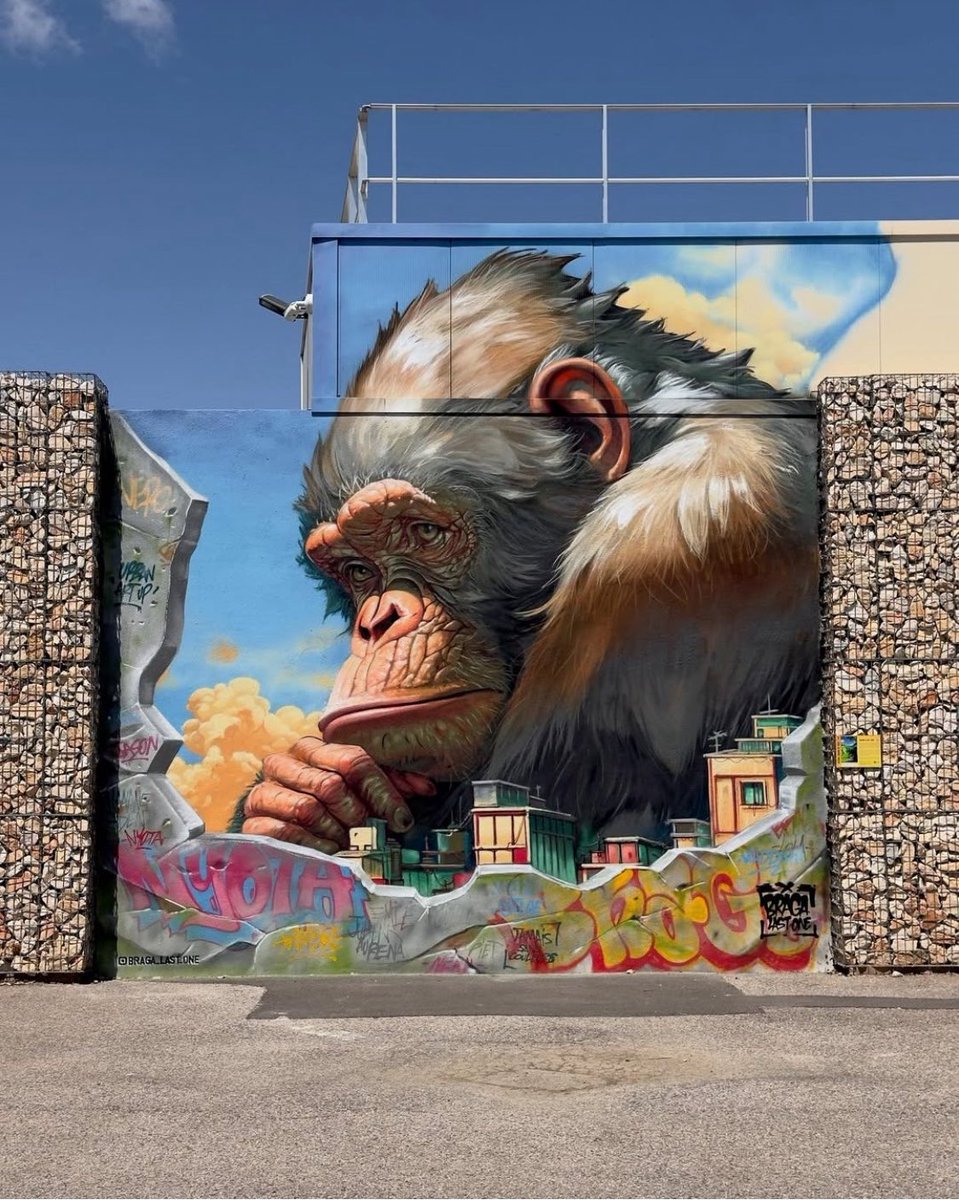 Street Art Lover tweet media