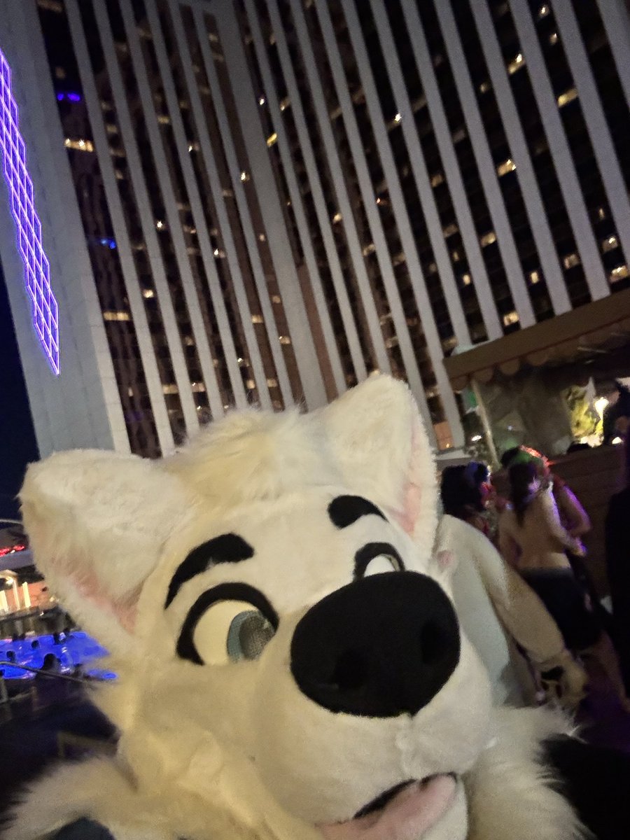 The final moments of #BLFC got me thinking about all the good things that happened and how that’s gonna shape the next few months 🥳 party hard dawgs #BLFC2025 #Furry #Fursuit