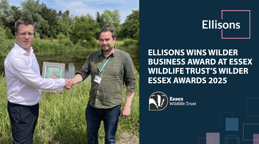 Ellisons tweet media