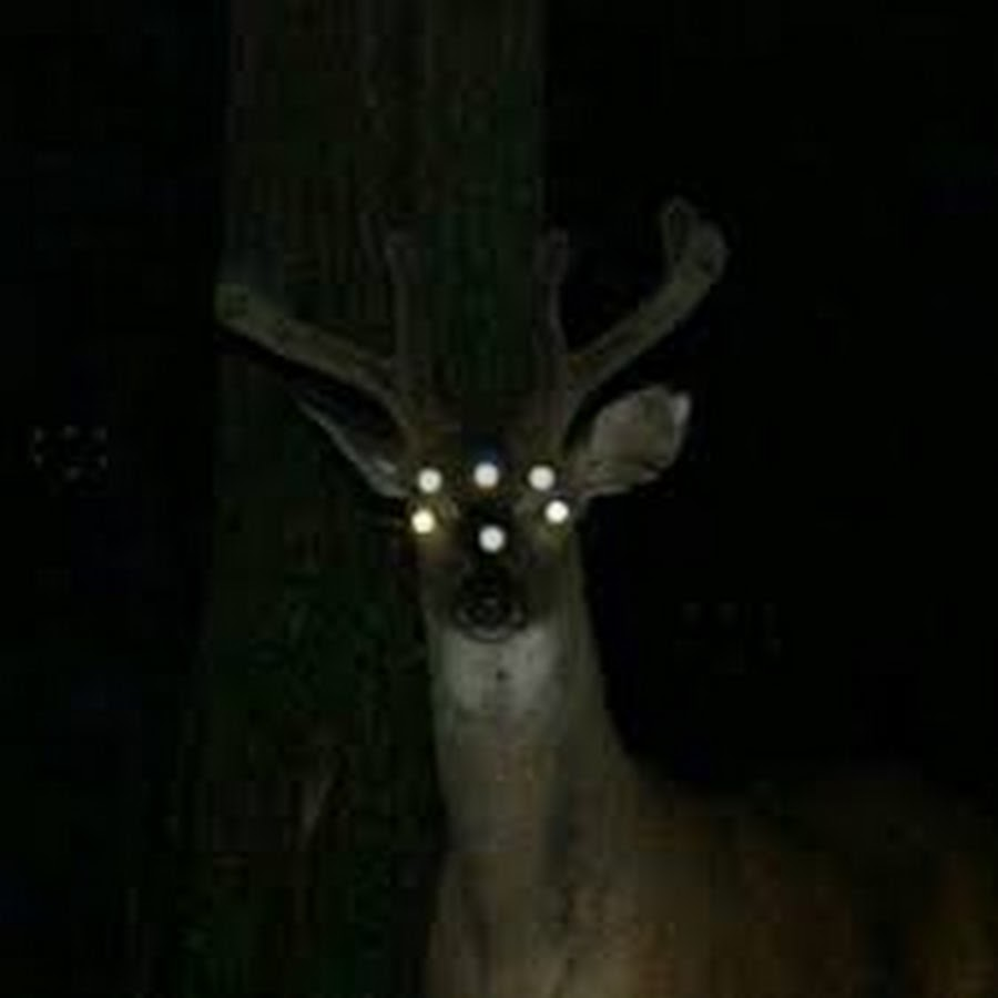 NebsGoodTakes's tweet photo. saga gameplay                   alan gameplay https://t.co/oX389daLSt
