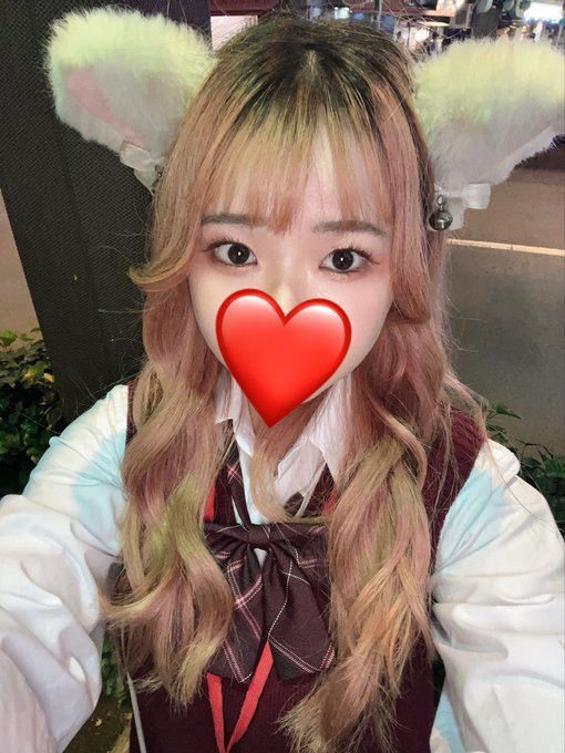 池猫 ~池袋の猫たち~のツイート