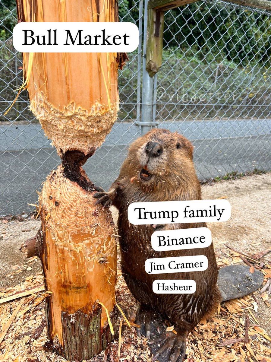 numosss's tweet image. 