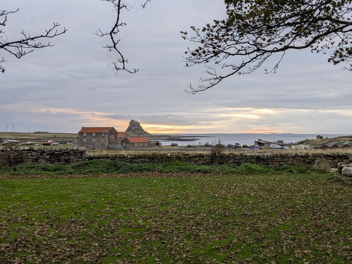 Anna Wood tweet media