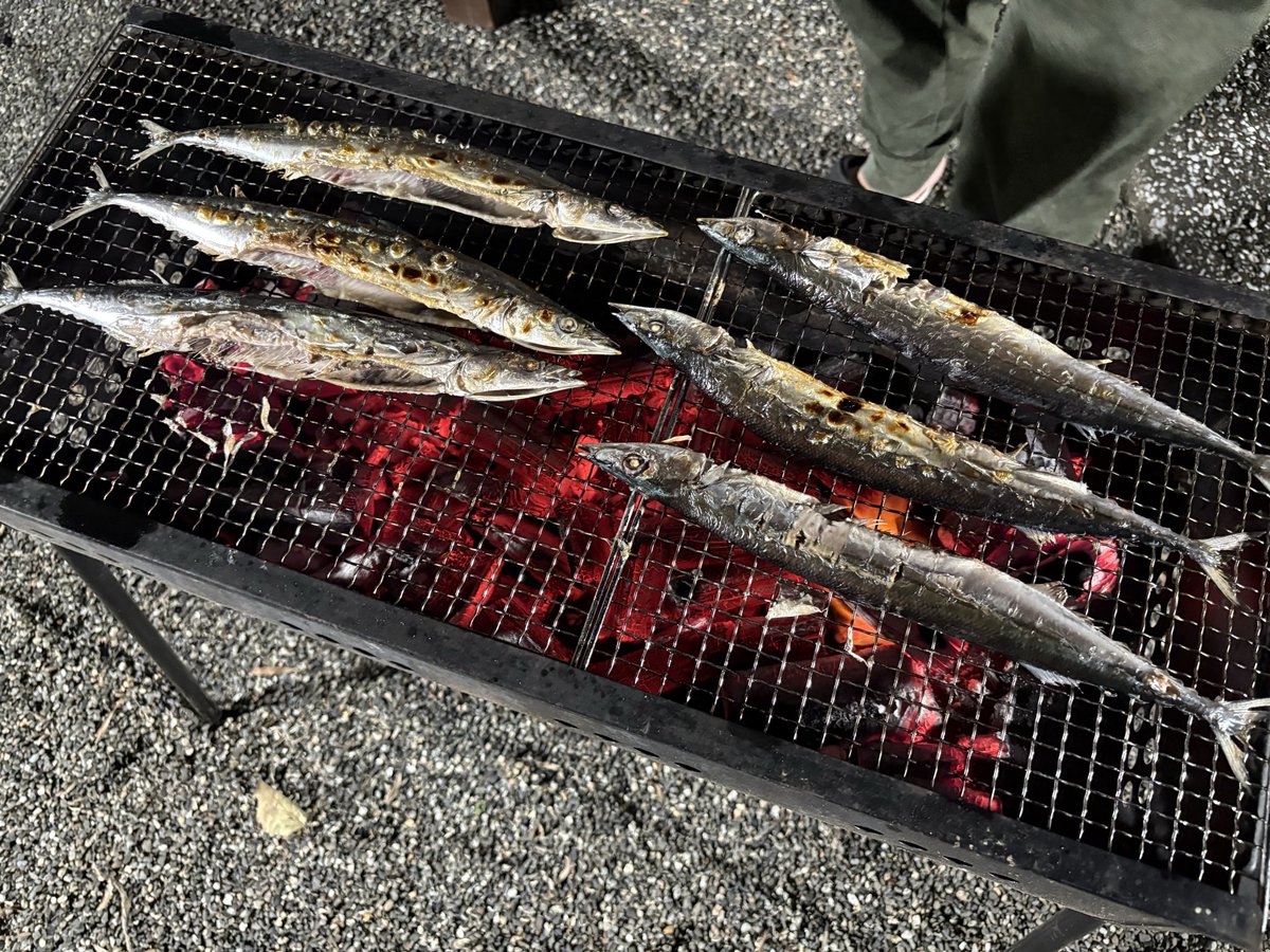 秋刀魚パーティしてる