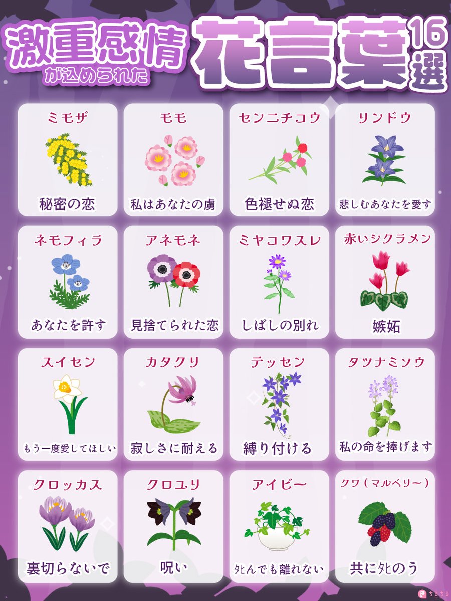 ⋆✴︎🥀激重感情が込められた花言葉🥀✴︎⋆

愛の重さを表現できる花言葉をまとめてみました✒
皆さんはどれが好きですか？❤️‍🩹⛓

👇紹介はコチラ
blnews.chil-chil.net/newsDetail/369…