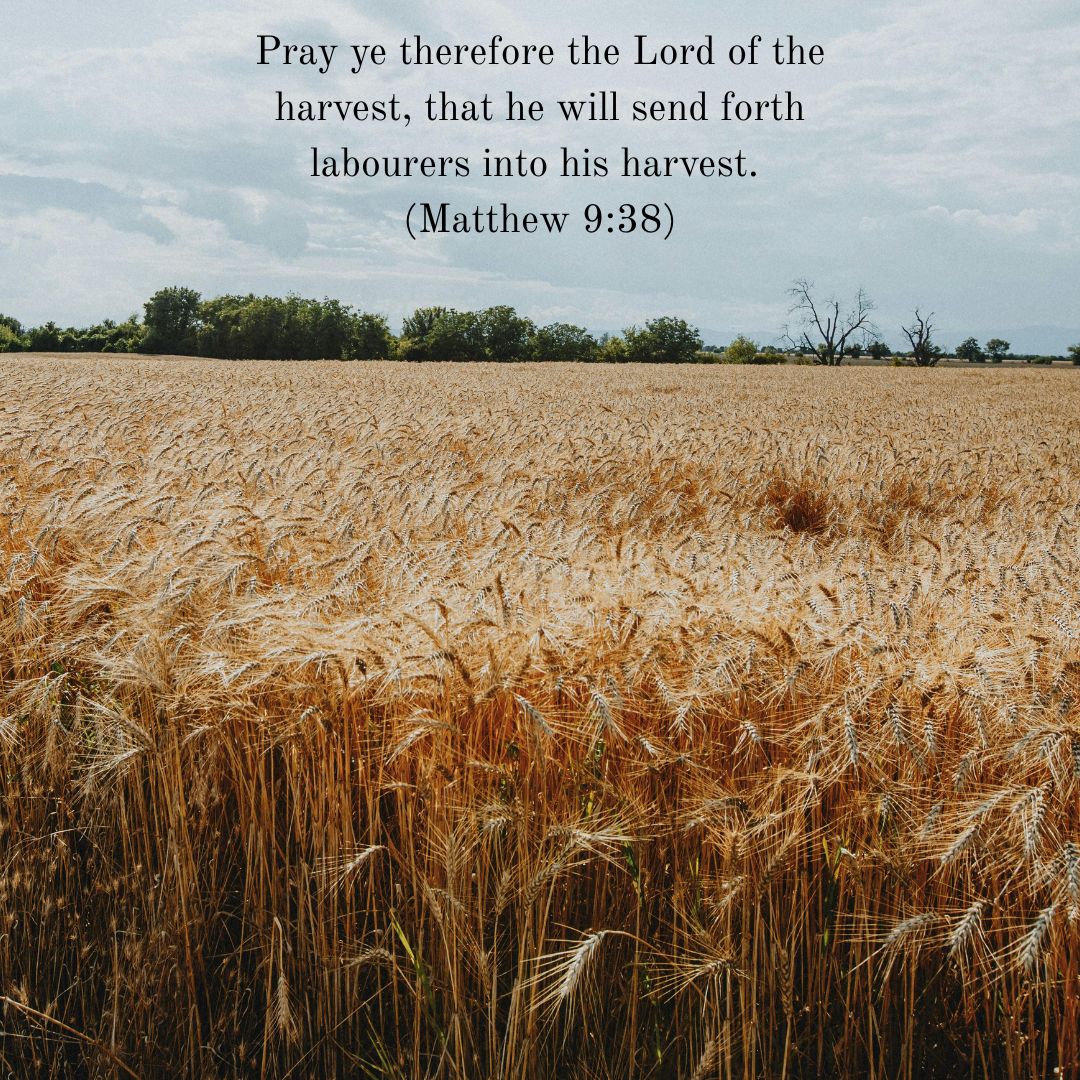 Pray ye therefore the Lord of the harvest, that he will send forth labourers into his harvest. 
(Matthew 9:38)