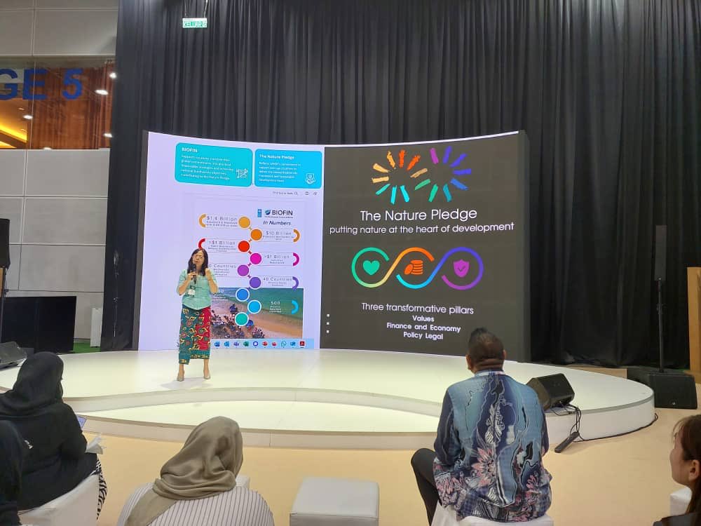 UNDP Malaysia tweet media