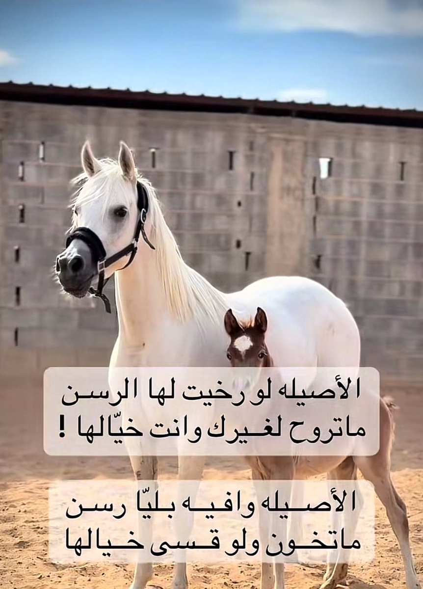 نجمة سدير (@aaasss487) on Twitter photo 