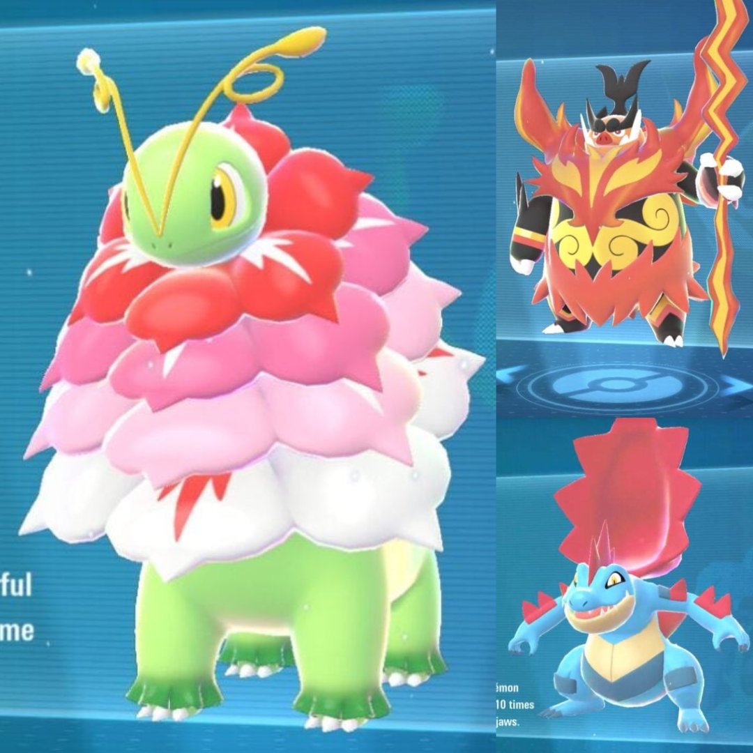 Domji⚡️| Pokemon tweet media