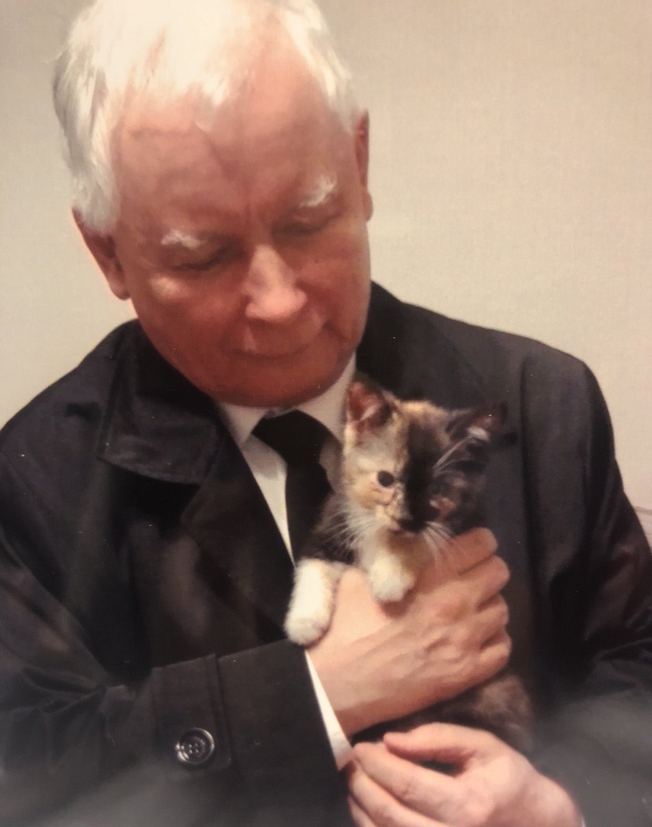 Kaczyński głosowaniem za pozbawieniem nas ponad miliarda złotych dzięki zakazowi hodowli zwierząt futerkowych, po raz kolejny udowadnia, że nie gra w żadne szachy 7D, tylko jest starym nieogarniającym dziadem, który czym szybciej odejdzie na emeryturę, tym dla nas lepiej.