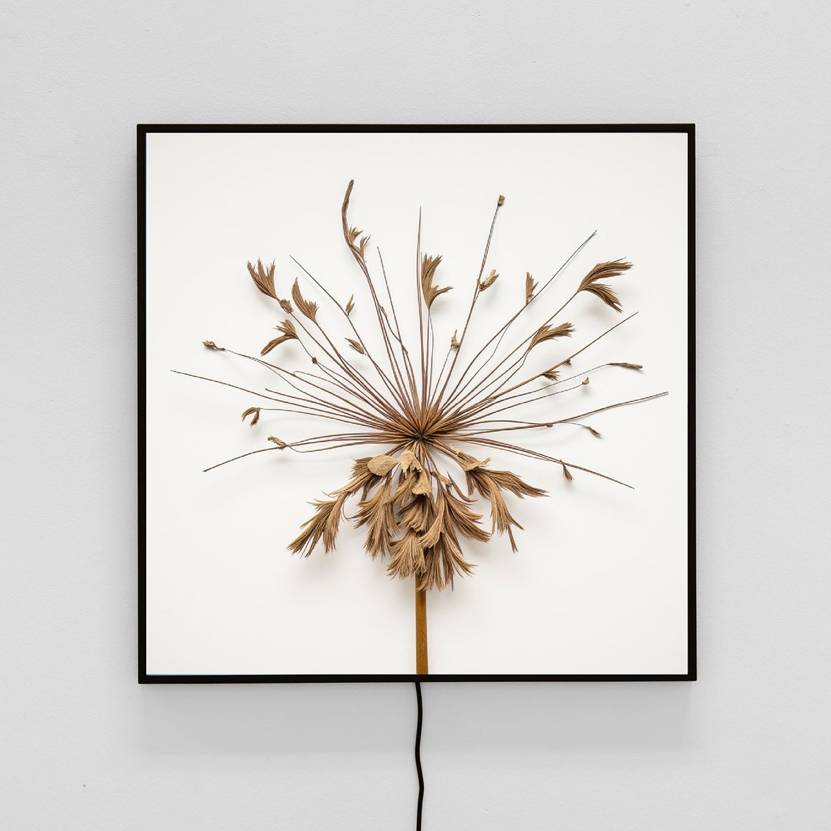 xCROSSLUCID's tweet image. Last Day of initiation exhibition of Way of Flowers @office_impart It&apos;s only a beginning. Read our interview @RtClick_Save &amp;lt;3