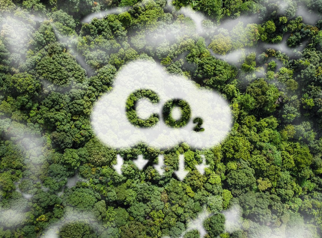 L’évaluation ACT de l’<a href="/ademe/">ADEME</a> confirme la crédibilité du plan de transition de <a href="/GRDF/">GRDF</a>. Avec un score de 70,8/100 (B+), GRDF se distingue par une stratégie alignée avec l’Accord de Paris et une réduction de 37 % de ses émissions de méthane depuis 2009. justdecarb.grdf.fr/levaluation-ac…