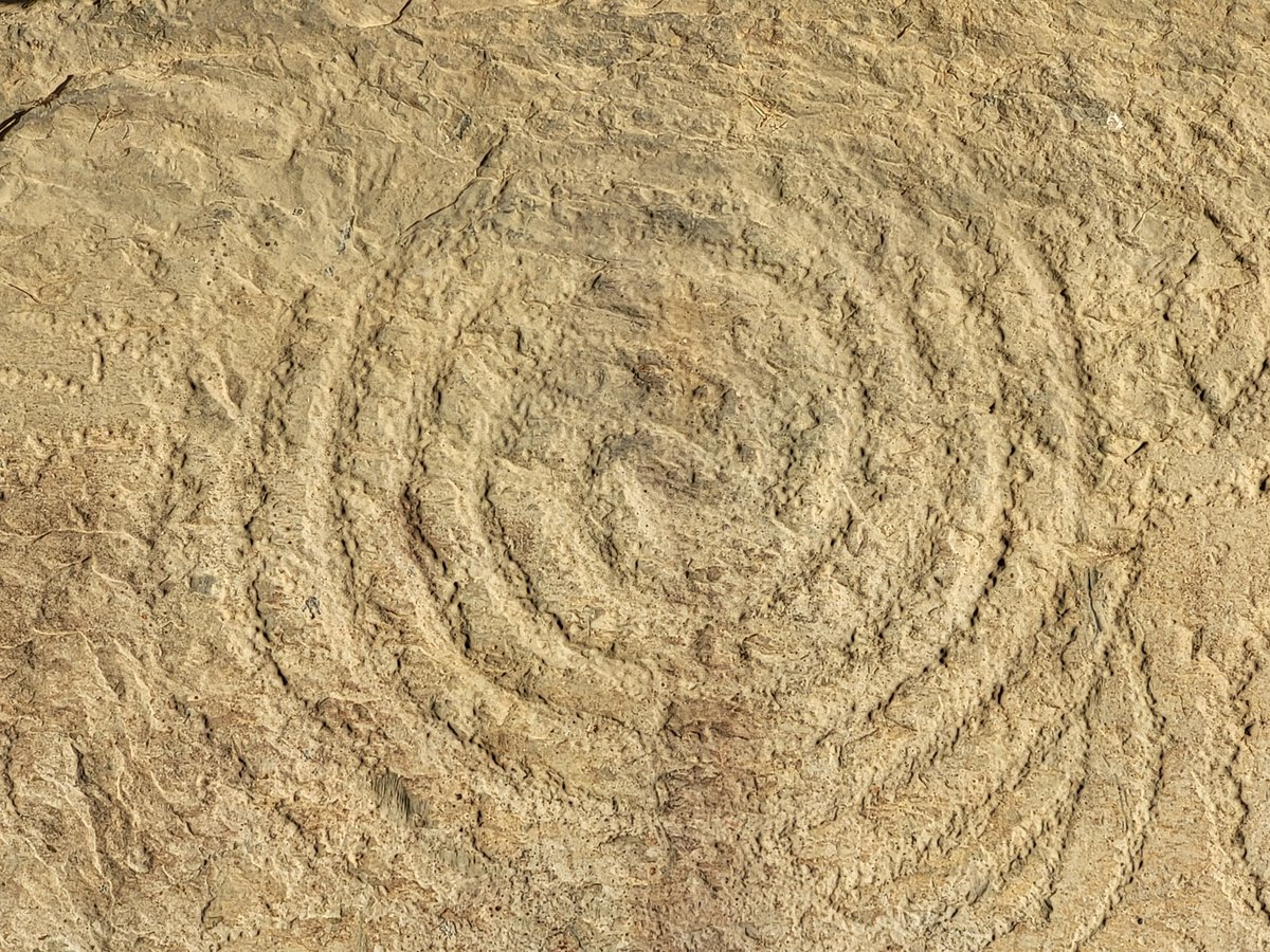 brunaboinneOPW's tweet image. Have you visited #Knowth yet. Knowth closes for the winter months on 5th November until February 2026.
Tours to #Newgrange are all year round. Book your visit online on brunaboinne.admit-one.eu
All access is through Brú na Bóinne Visitor Centre . 
📷 Peter C
#keepdiscovering