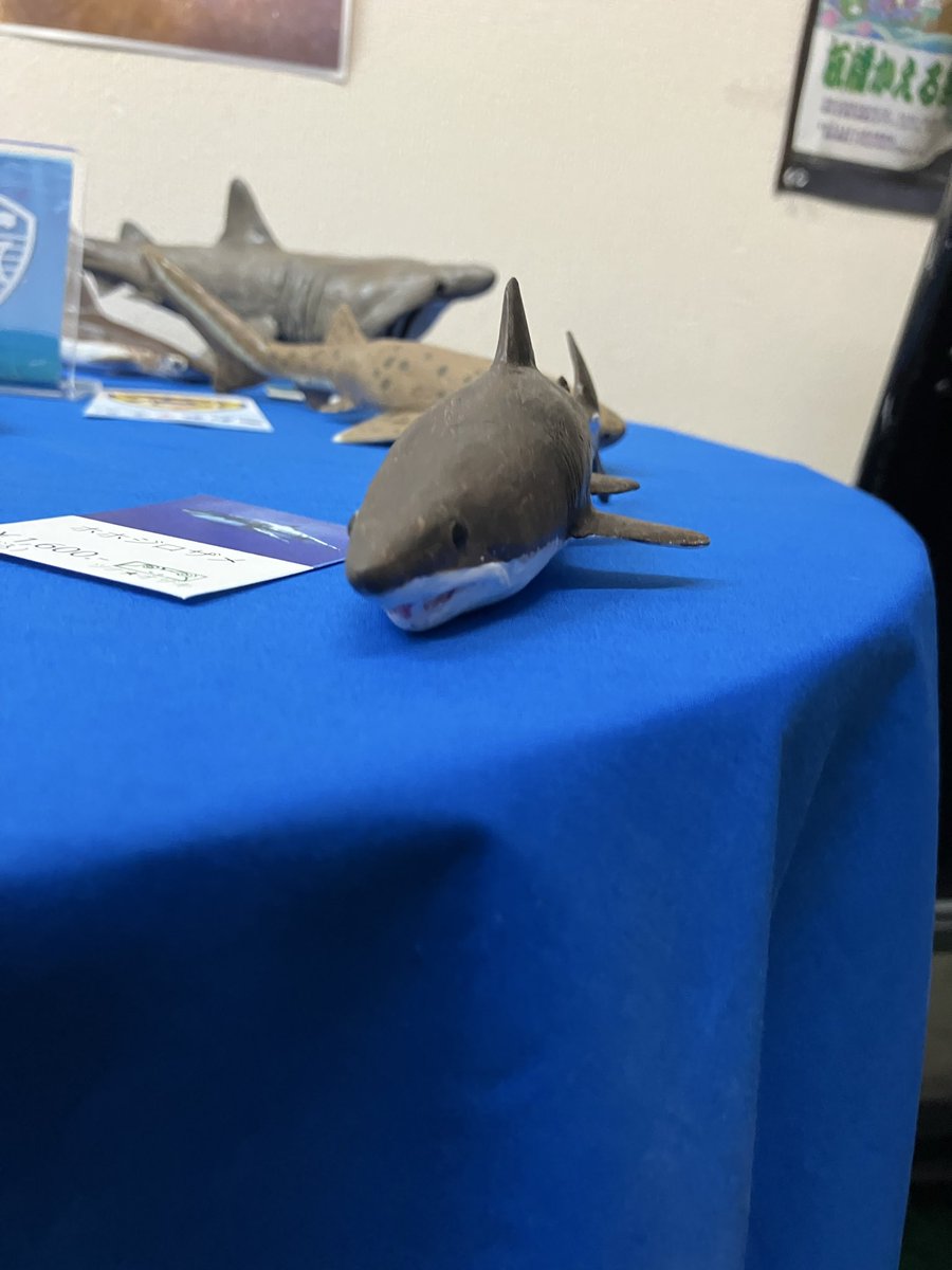 【サメ展THE DEEP 4】本日も無事終了致しました。いらして頂いたお客様有難うございました。明日も12:00〜19:00で開催致します。『ピックアップ作品』ホホジロザメをモチーフにした作品。#ギャラリーharu #サメ展THE DEEP 4 #ホホジロザメ #ichironyan  #ken #ツナ★オザキ