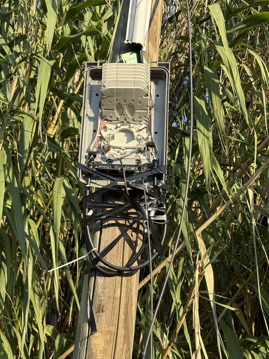 Jezza  tweet media