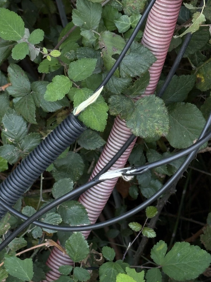 Jezza  tweet media