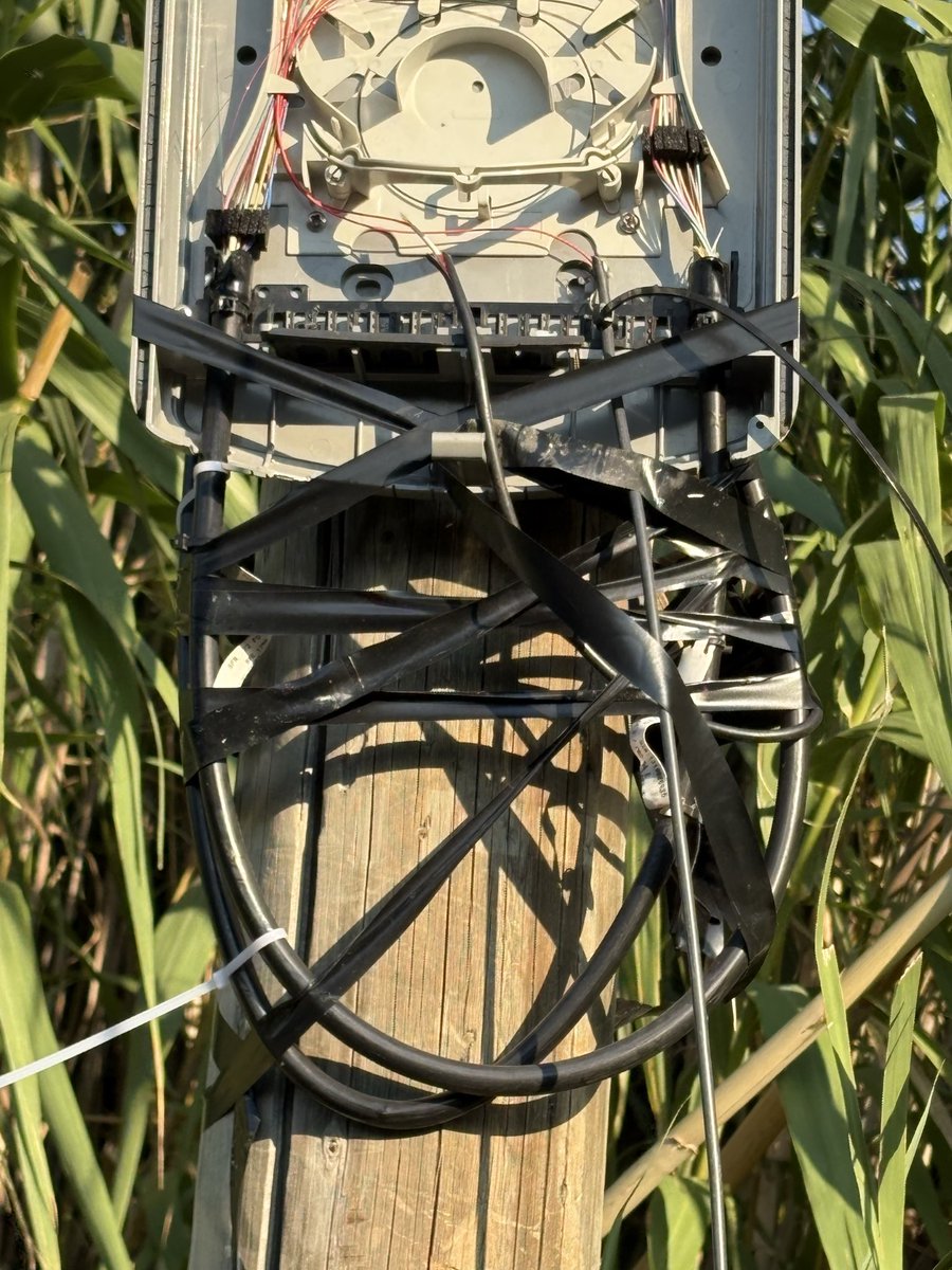 Jezza  tweet media