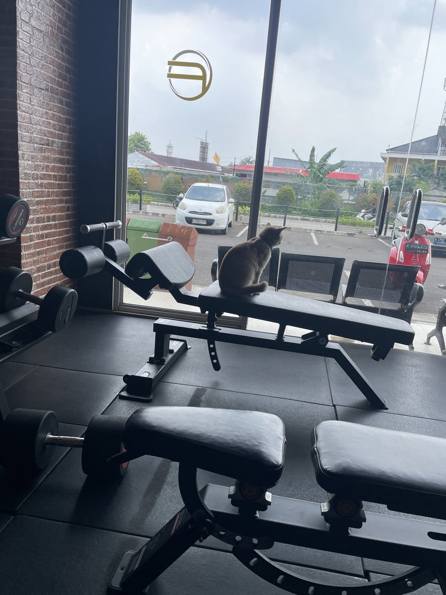 mooncake tweet media