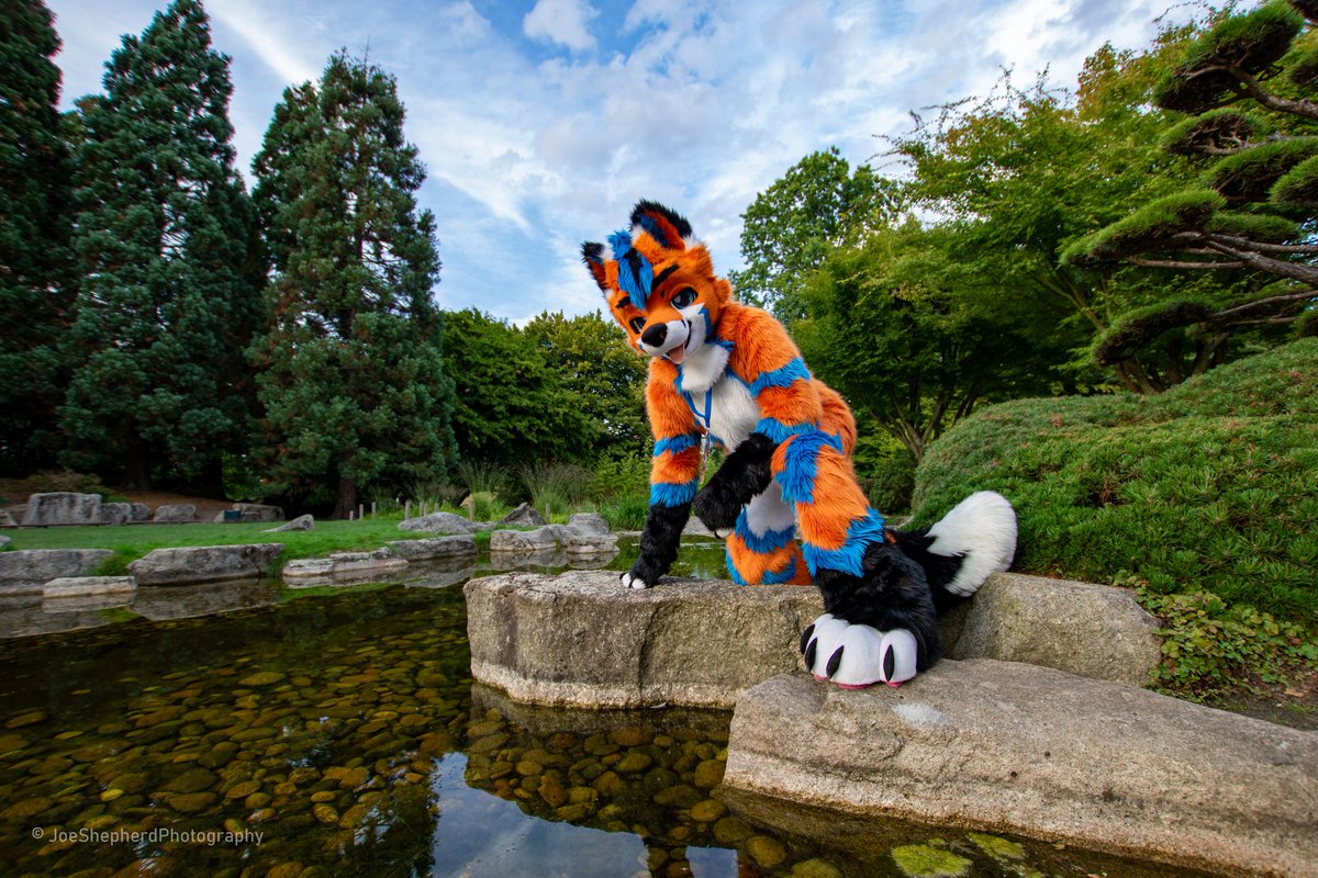 I wish you all a happy #FursuitFriday
I'll be at <a href="/RhoenDance/">Rhön Dance</a> tomorrow. Anyone else?

📸: <a href="/JoeGShepherd/">Joe Shepherd</a> 

#furry #furrsuit #RhönDance