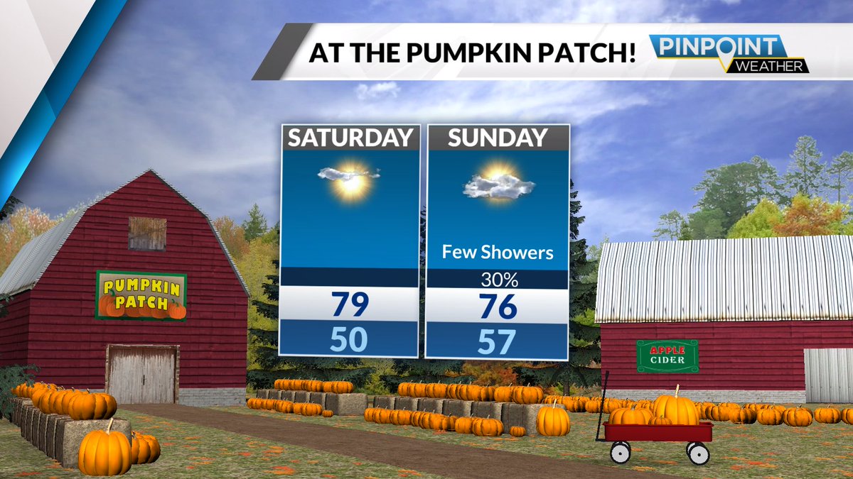 Jason Harper Queen City News tweet media