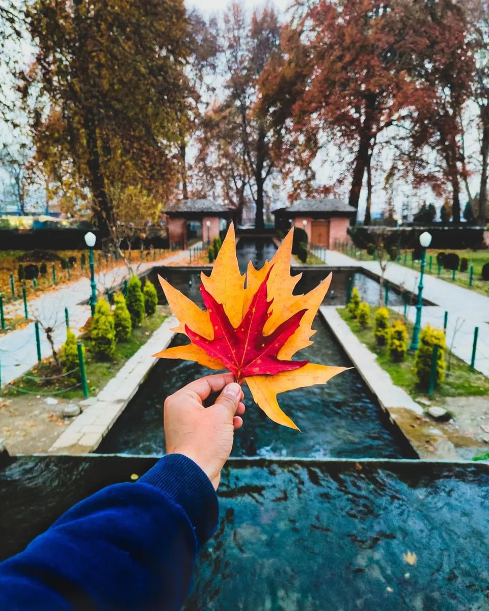 "Holding a piece of Kashmir in my hand."