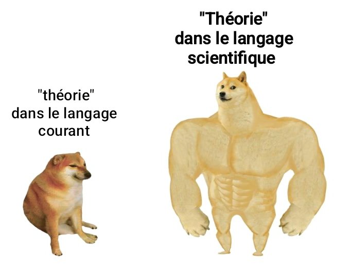Adamleclement's tweet photo. #theorie
#theoriescientifique
#theoriedelevolution
#connaissance
#science https://t.co/EuPfTPvmYT