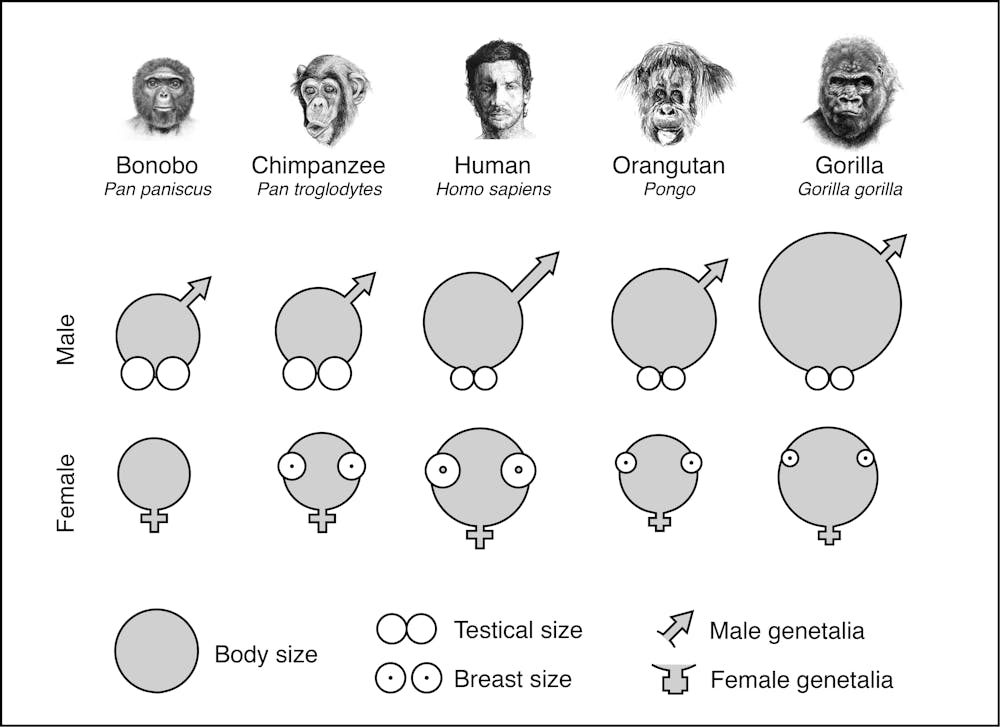 Science Diagrams that Look Like Shitposts tweet media