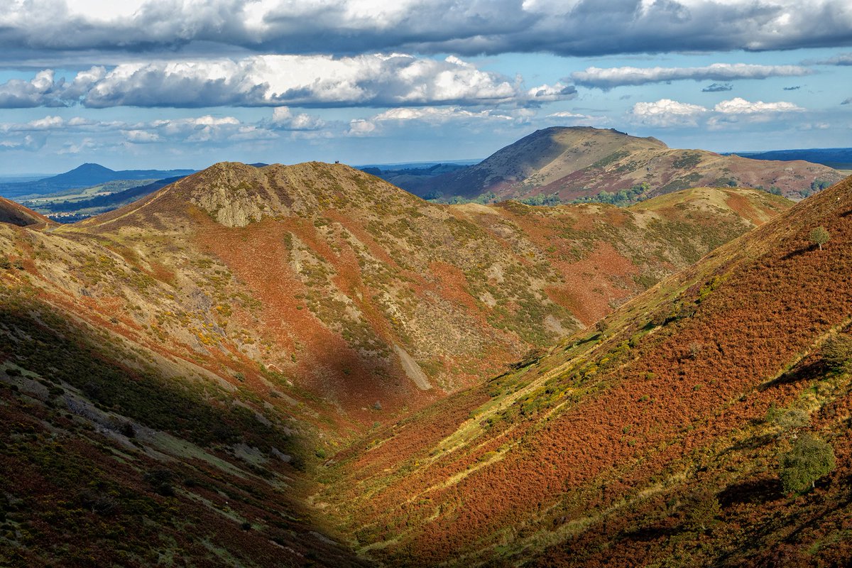 EllesmerePhoto's tweet photo. #270 Town Brook, Church Stretton, 28/09/2025

A day of sunny intervals creating some fun shadows. This is from the top of Town Brook on the Long Mynd with Burway Hill on the left and the mighty Caradoc on the right.

#photography #shropshire #longmynd #caradoc https://t.co/xl8VXTgUCR