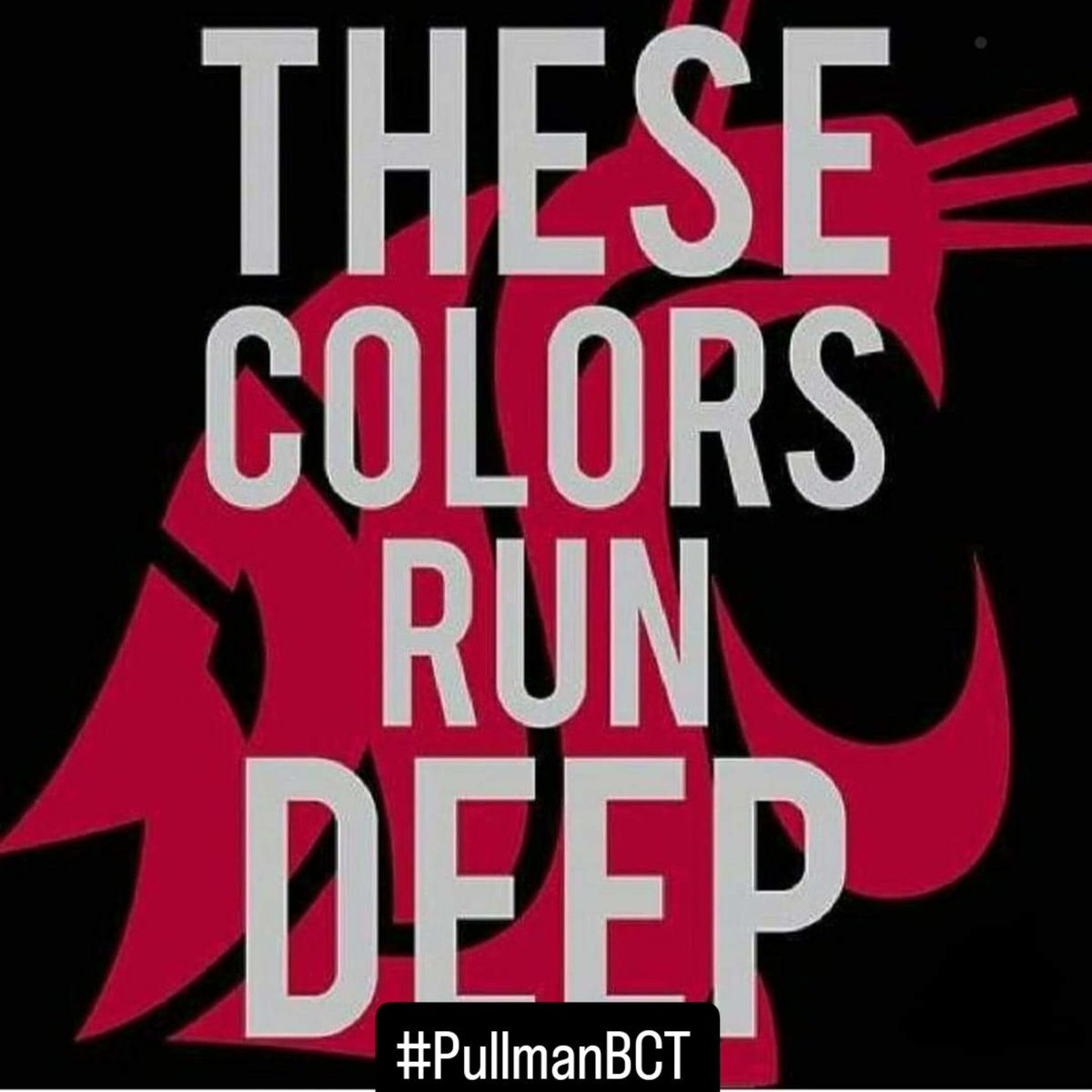 fosscoug's tweet image. You know Pullman is #1!!!!