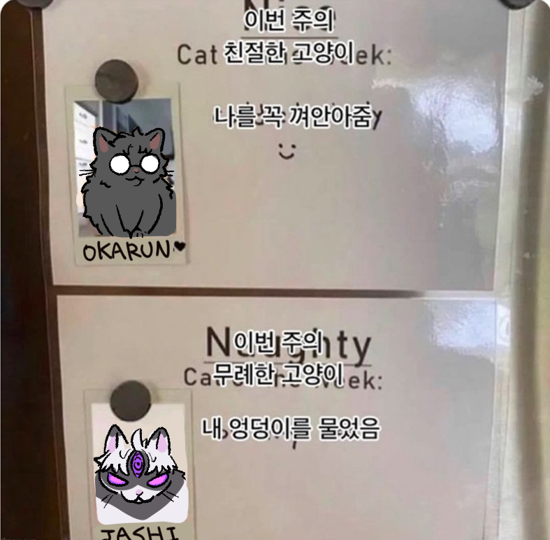 할배 ハルベ (@jeon10457441) on Twitter photo 