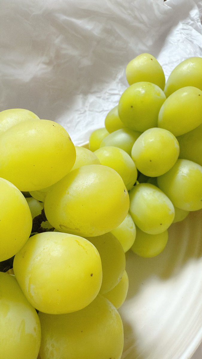 __WAPI's tweet image. 長野県須坂市からふるさと納税のシャインマスカット💚🍇
2年は食べられないから大事に食べよ🫰🫰