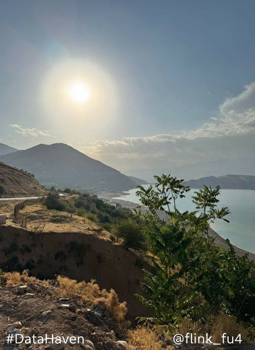 flink_fu4's tweet image. 💡 My Data Beacon shines with the light of the sun — the greatest guide of all.
Even when the forest grows dark, the memory of its warmth shows the way home. 🌅
@DataHaven_xyz #DataHavenQuest #DataBeacon