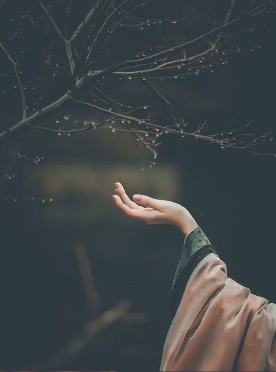 Ben ona dedim ki 

Suyun üç hali var 

Dördüncüsü sensin.

Şükrü Erbaş