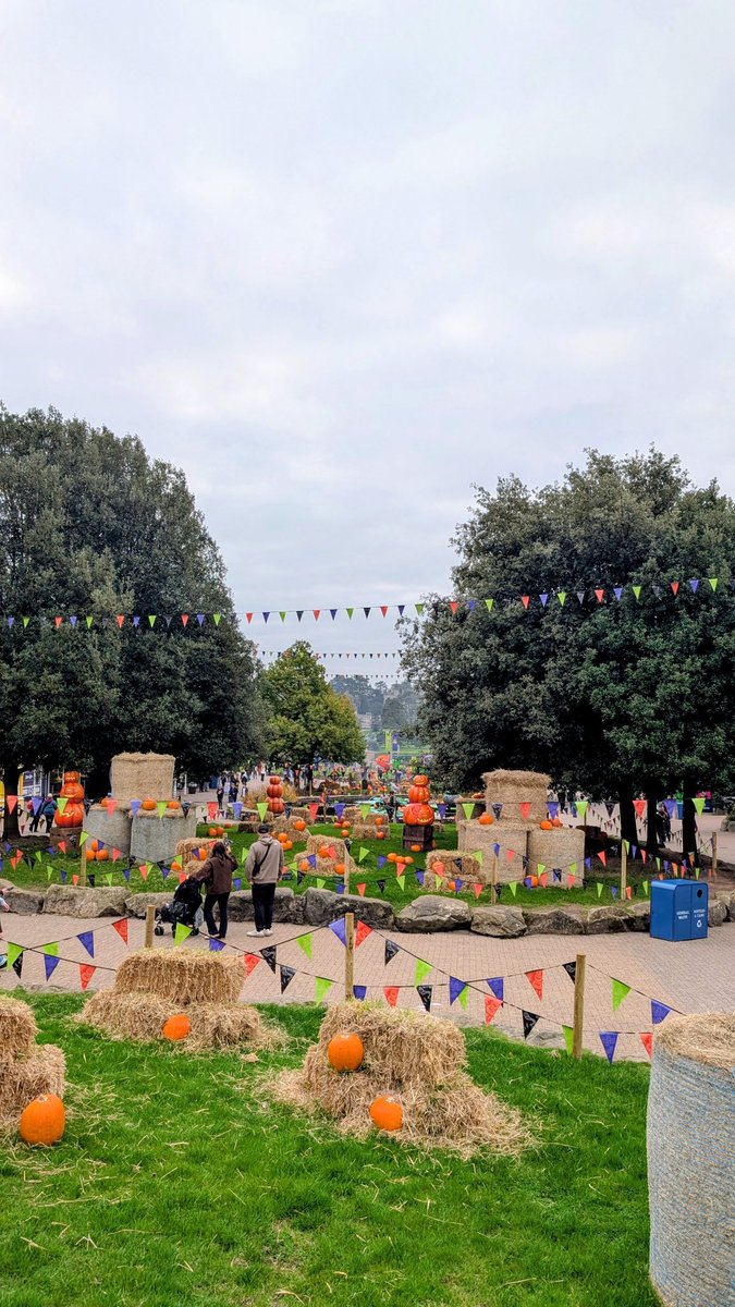 Ben 🎢🚂 tweet media