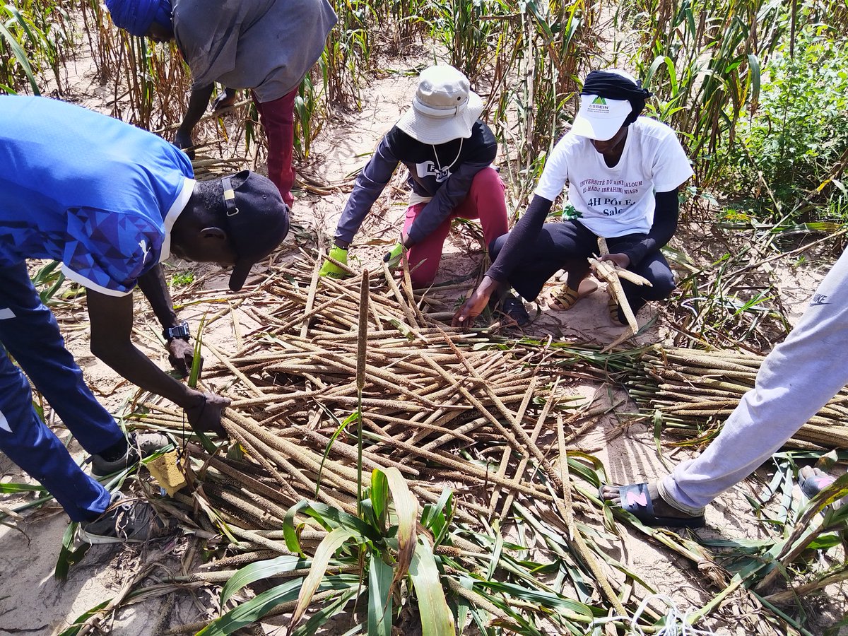 Diakhaté tweet media