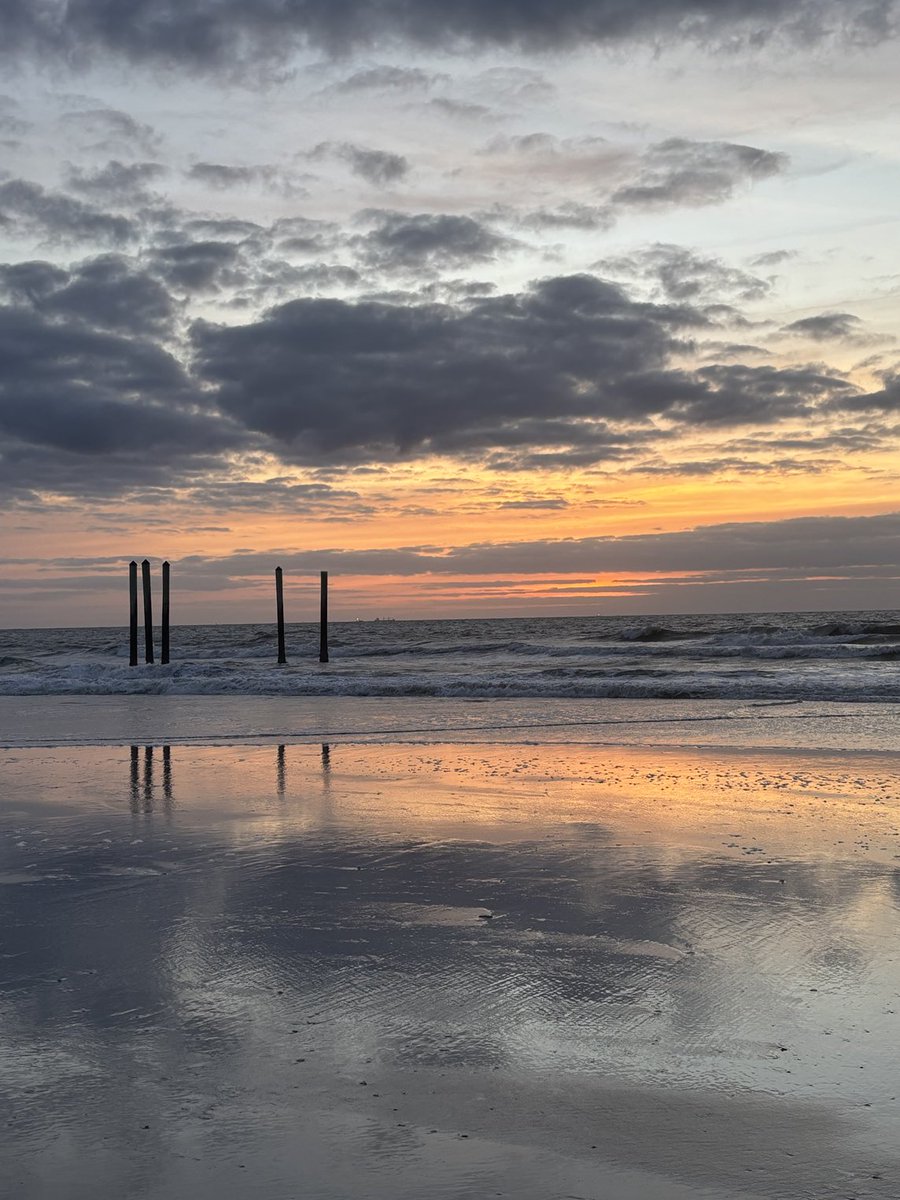 Good morning from #Florida #sunrise #beachlife