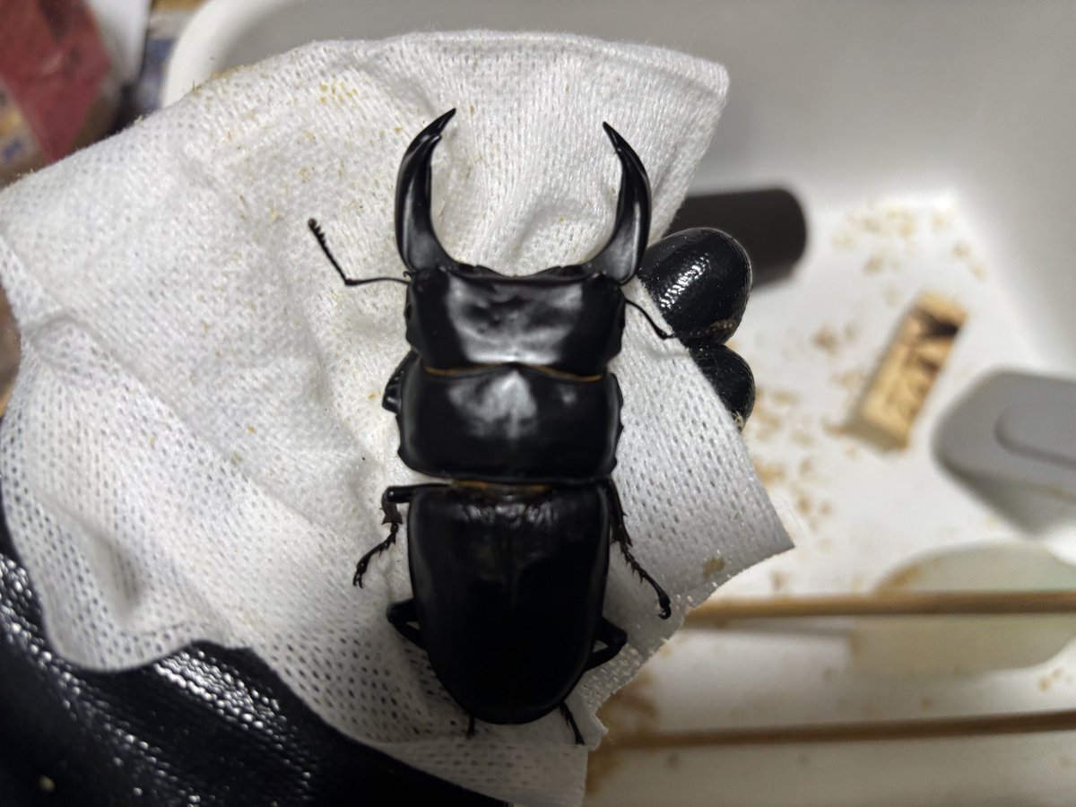 まる。様 だわ on X