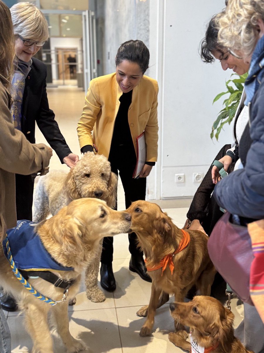 Sarah EL HAÏRY tweet media