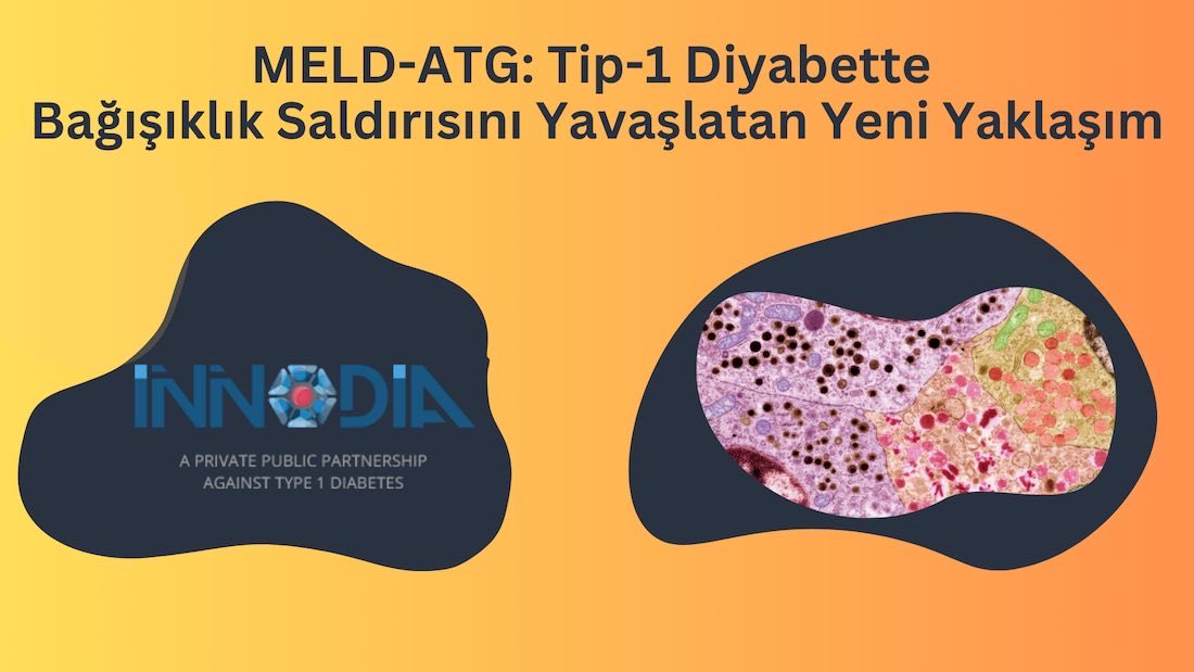 MELD-ATG: Tip-1 Diyabette Bağışıklık Saldırısını Yavaşlatan Yeni Yaklaşım

diyabetimben.com/meld-atg-tip-1…

#diyabetimben #diyabet #tip1diyabet #türkiye #istanbul