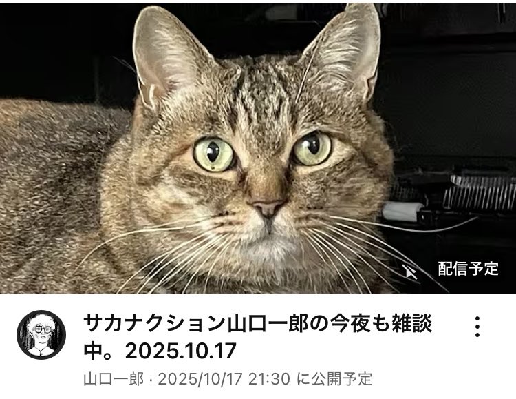 🐟SAKANA2025🐟 (@SAKANA__2025) / X