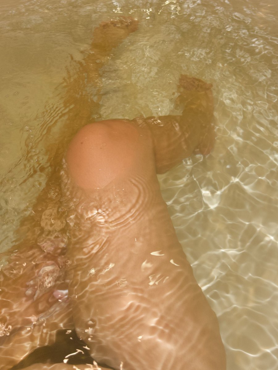 bento_4423 (@bento_4423) on Twitter photo 