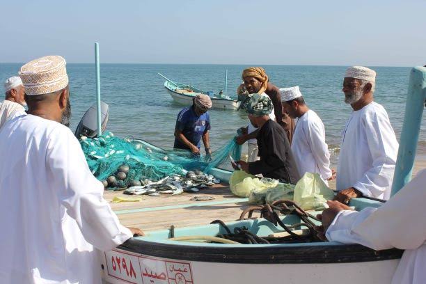 من وجهة نظركم الشخصية.
ما أسباب أرتفاع أسعار الأسماك (الصيد) في الأسواق العمانية. 
هل بسبب نقص كمية الصيد أو فيه أسباب أخرى وما هي الحلول لمعالجةأرتفاع هذه الأسعار .
#مساء_الخير