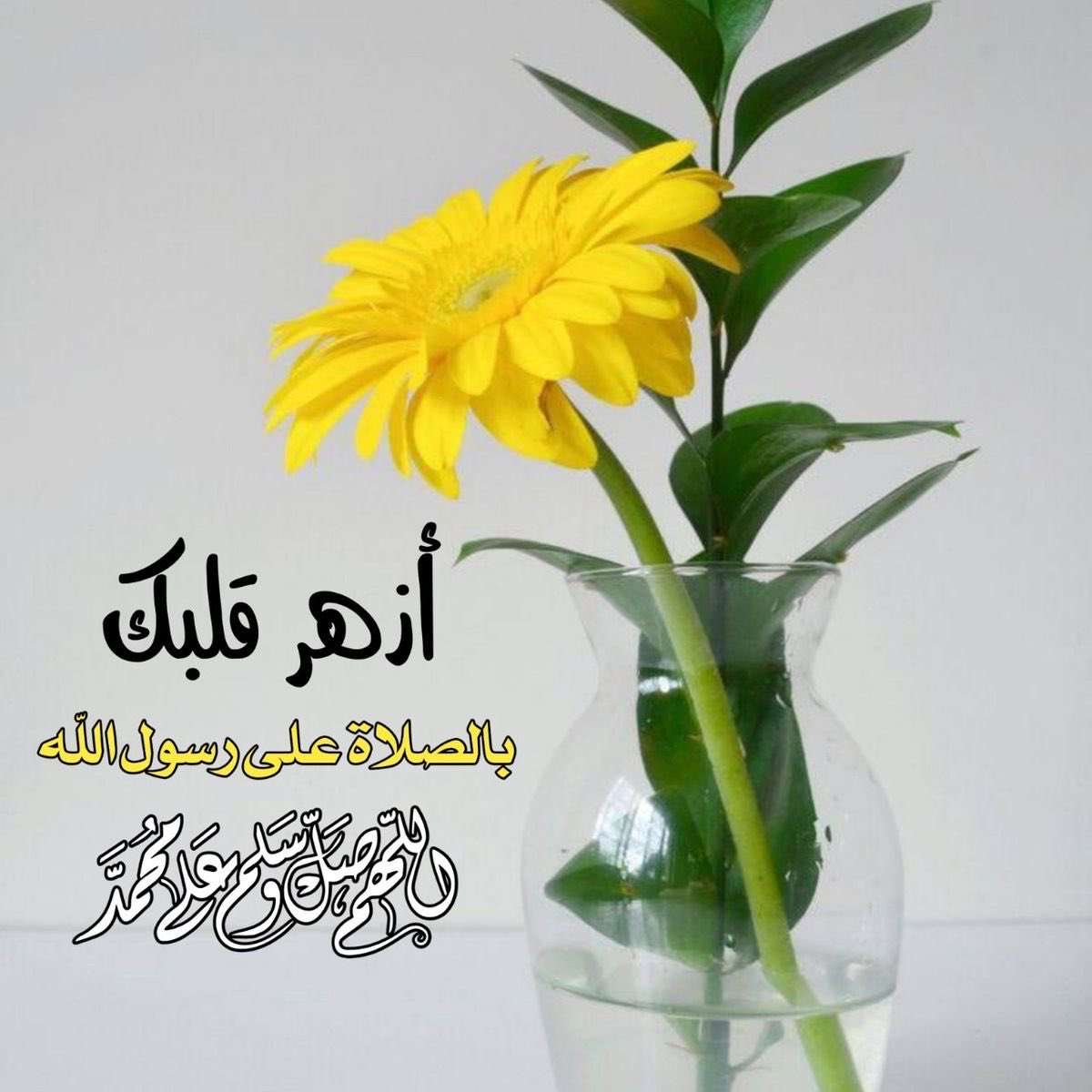 #صلوا_علي_نبينا_وحبيبنا_محمد عليه افضل الصلاة والسلام