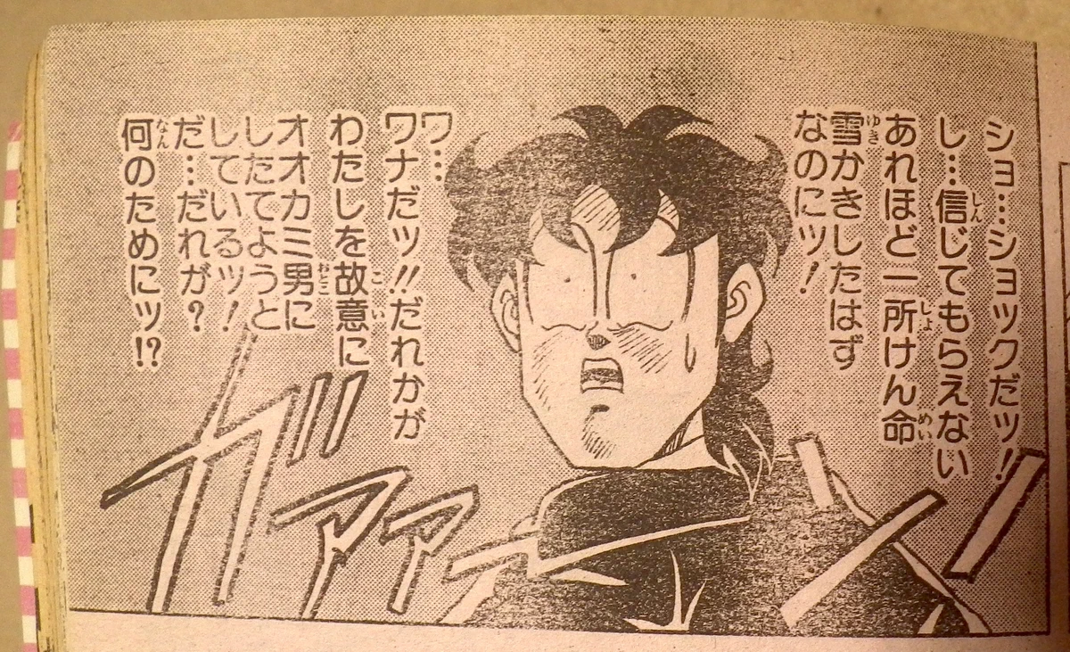 闘将はなぴよ on X: 
