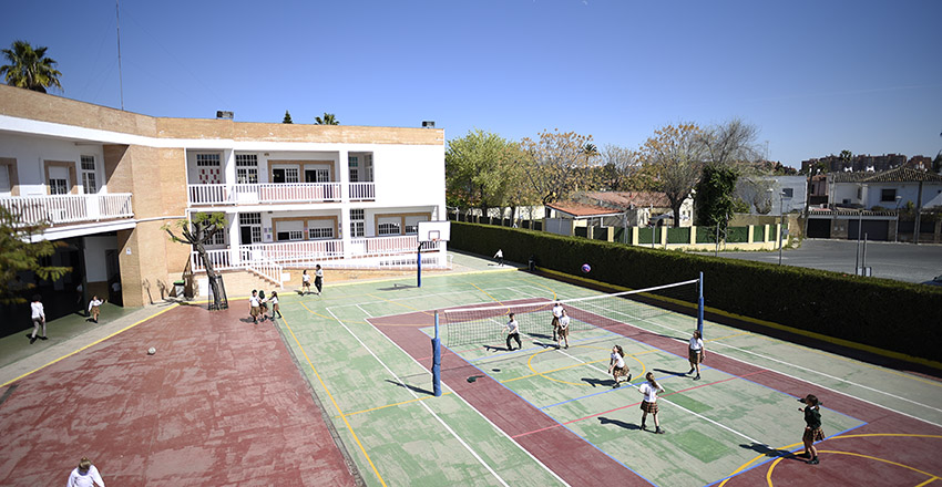 Deportes EC Sevilla tweet media