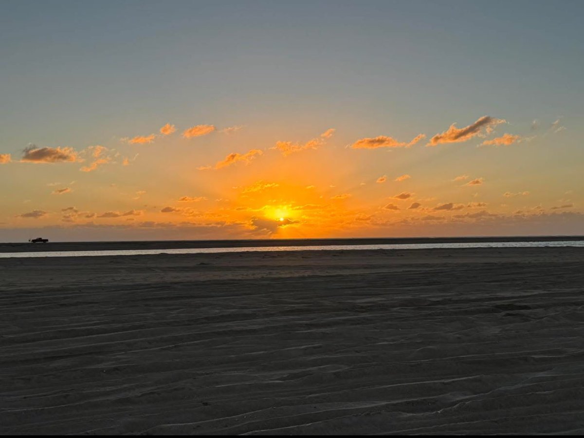 NCRed458902's tweet image. Good Friday morning from NC!
