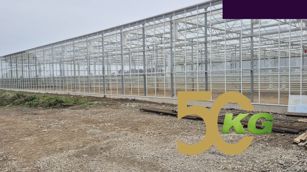 KG_Greenhouses's tweet image. Project Update – Ireland 🇮🇪
We’re proud to share new progress from our turn-key strawberry project in Ireland! 🍓
This 5,000 m² greenhouse represents a complete installation designed and delivered by KG Greenhouses.
kggreenhouses.com/en/projects/st…
#kggreenhouses #TurnkeySolutions