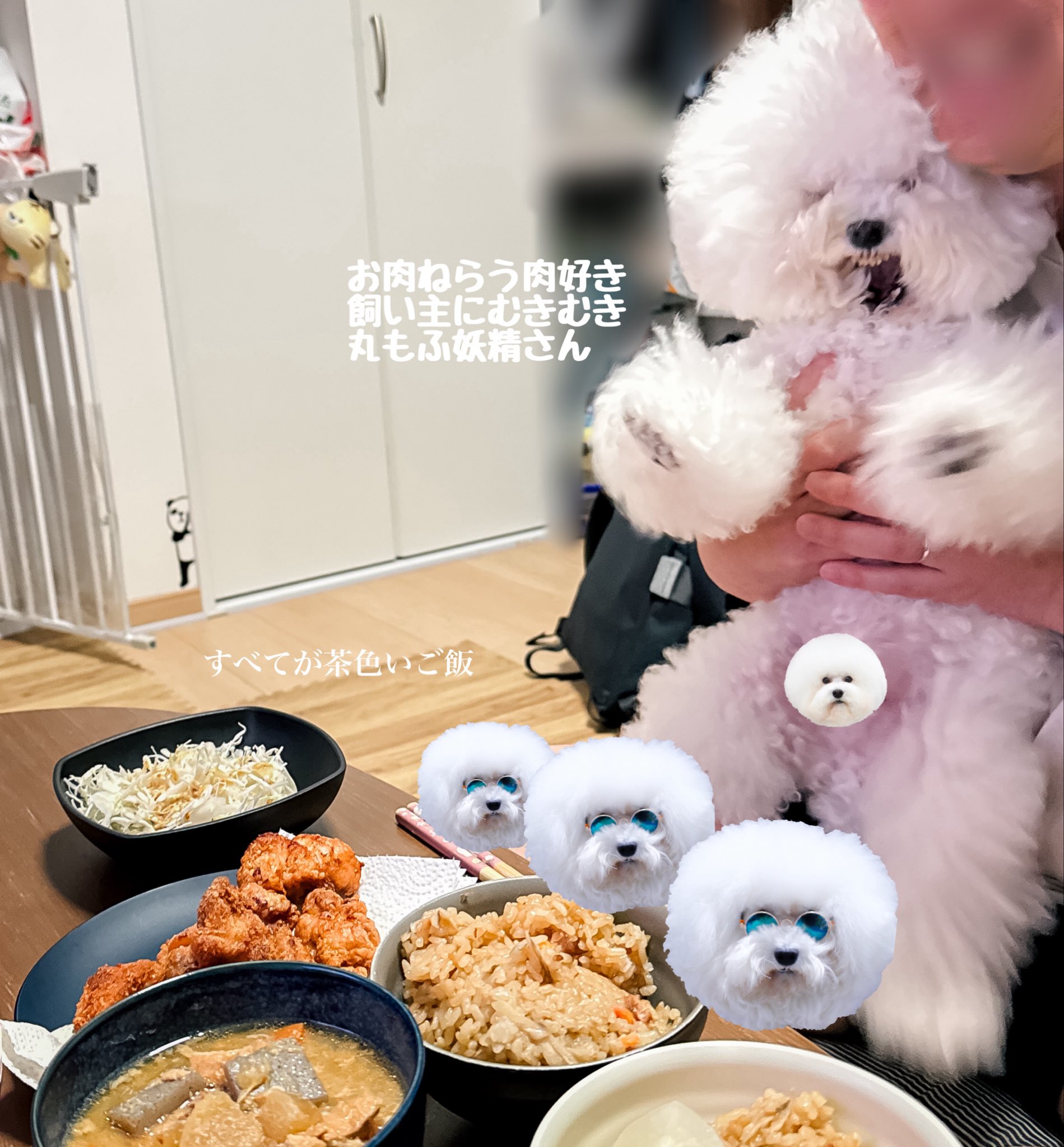 しらす様★ しらす@ (@sirastar) / X