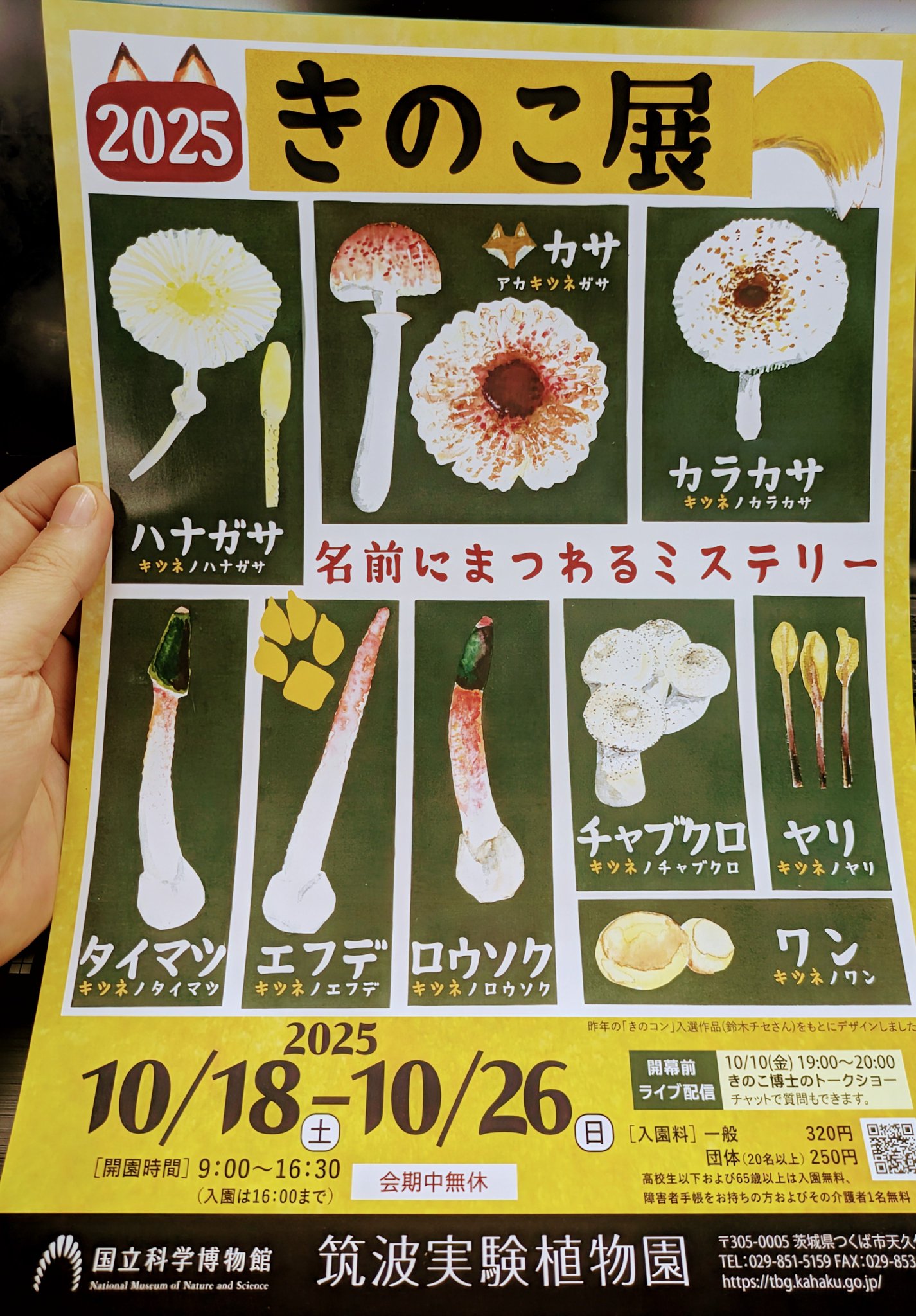 専用様✨テーマ'心' UNIQLO SHINSAIBASHI店さまとのコラボUTになります。 心斎橋