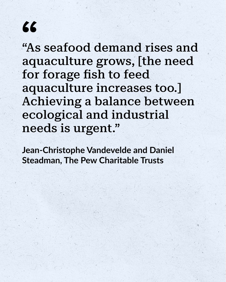 pewenvironment's tweet photo. As overfishing pressures forage fish—small species like herring, mackerel, and blue whiting—countries have a chance to strengthen protections for these pillars of the ocean when they meet this fall. #NEAFC https://t.co/ItIVu6LWFF https://t.co/P9wJnpuwb7